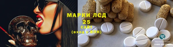 индика Алексеевка