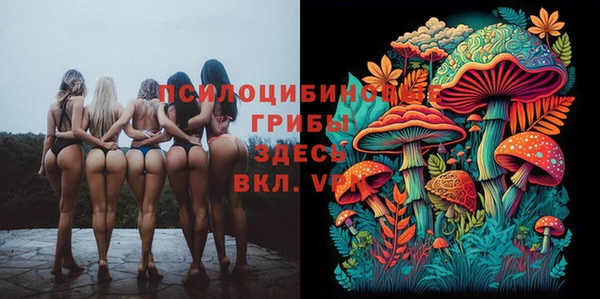 индика Алексеевка
