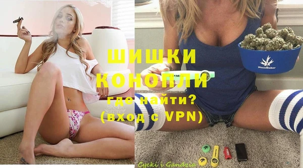 индика Алексеевка