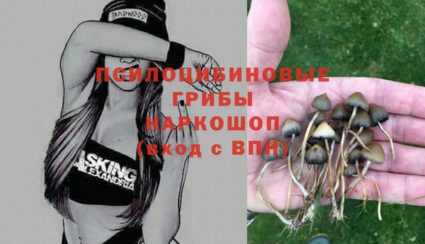 индика Алексеевка