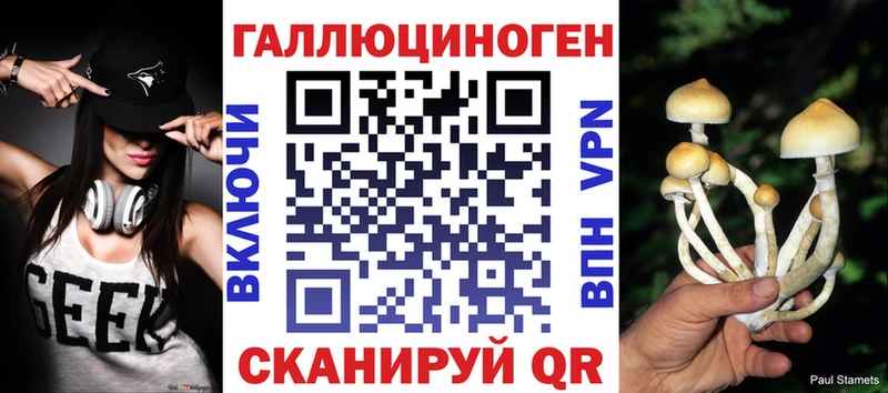 Псилоцибиновые грибы Psilocybine cubensis цена Петровск