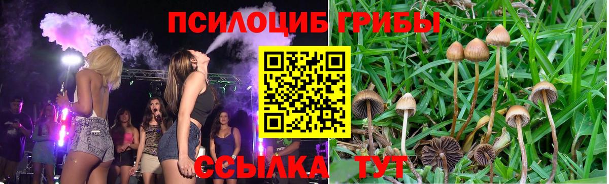 Галлюциногенные грибы Psilocybine cubensis  Вход с VPN  продажа наркотиков  Петровск  Псилоцибиновые грибы Psilocybine cubensis 