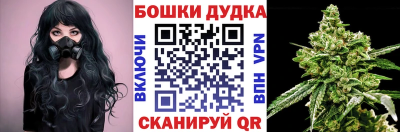 Бошки марихуана семена  купить наркотики цена  Петровск 